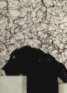 Бележник Paperblanks Good Dog! Micro, Unlined/ 1001-2