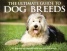 The Ultimate Guide To Dog Breeds