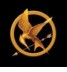 HUNGER GAMES COLLECTORS EDITION
