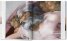 Michelangelo: The Complete Paintings, Sculptures and Architecture