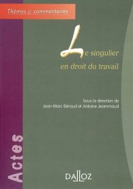 Le singulier en droit du travail