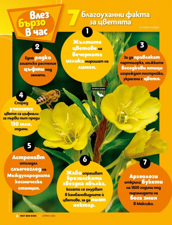 National Geographic KIDS България Април/2025