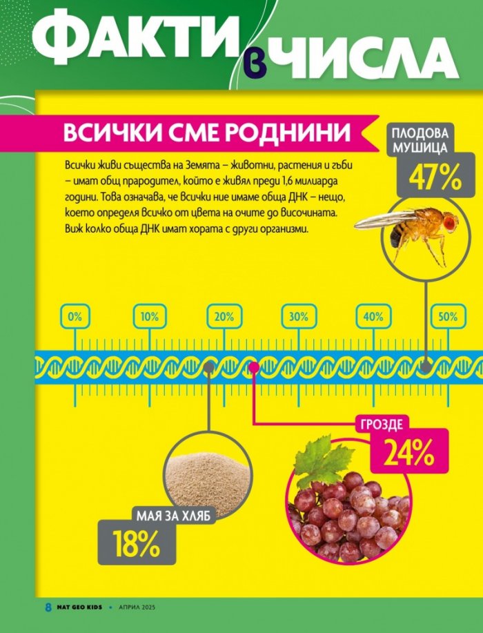 National Geographic KIDS България Април/2025