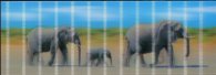 Разделител за книга Elephants Bookmark [0122]