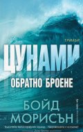 Цунами: Обратно броене