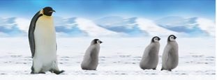 Разделител за книга Baby Emperor Penguins Bookmark [0757]