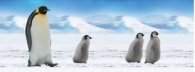 Разделител за книга Baby Emperor Penguins Bookmark [0757]