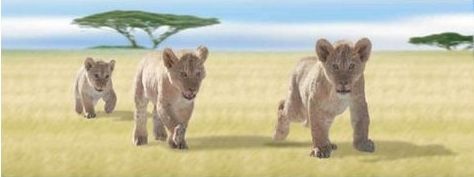 Разделител за книга Lion Cubs Bookmark [0047]