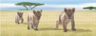 Разделител за книга Lion Cubs Bookmark [0047]