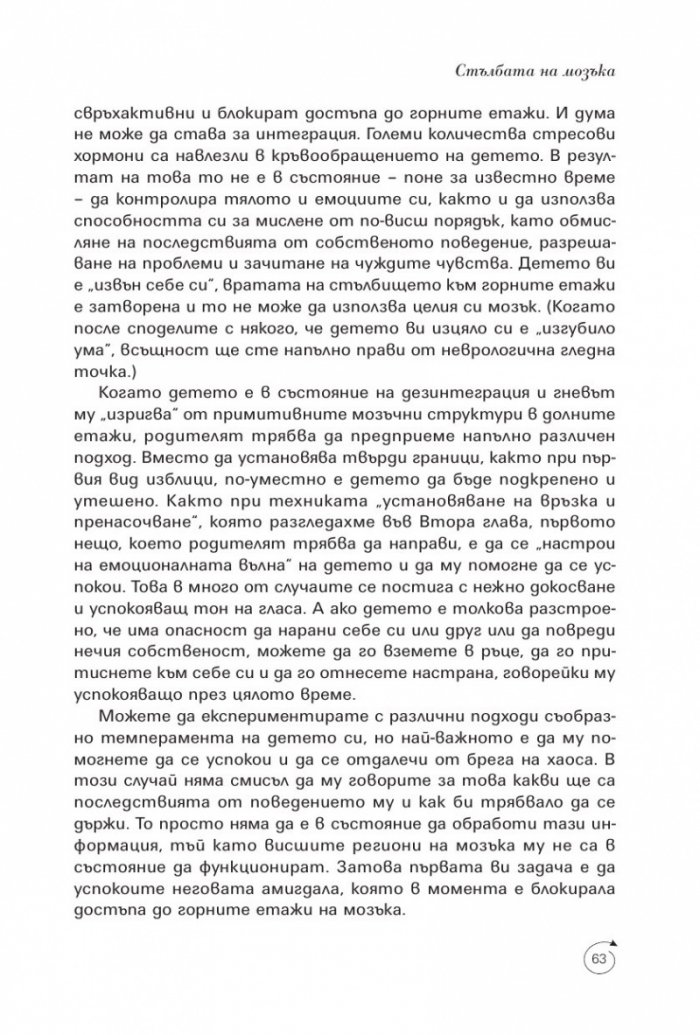 Как да развием потенциала на детския мозък