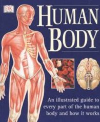 Human Body