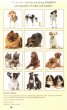 Calendar 2012: Dogs & Puppies