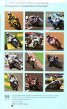 Calendar 2012: Superbikes