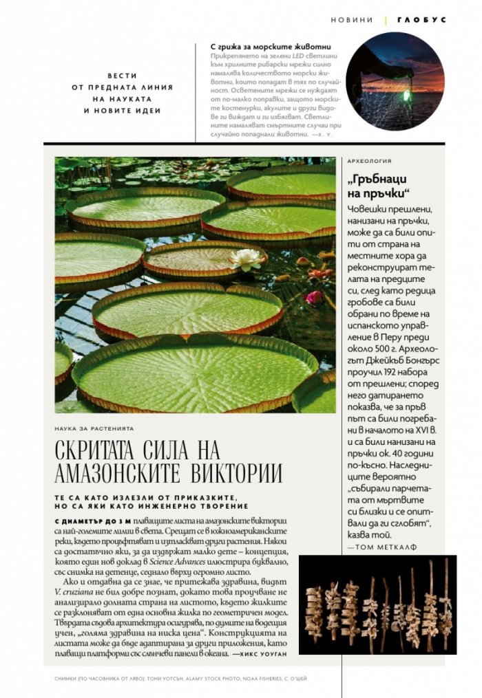National Geographic България Юни/2022