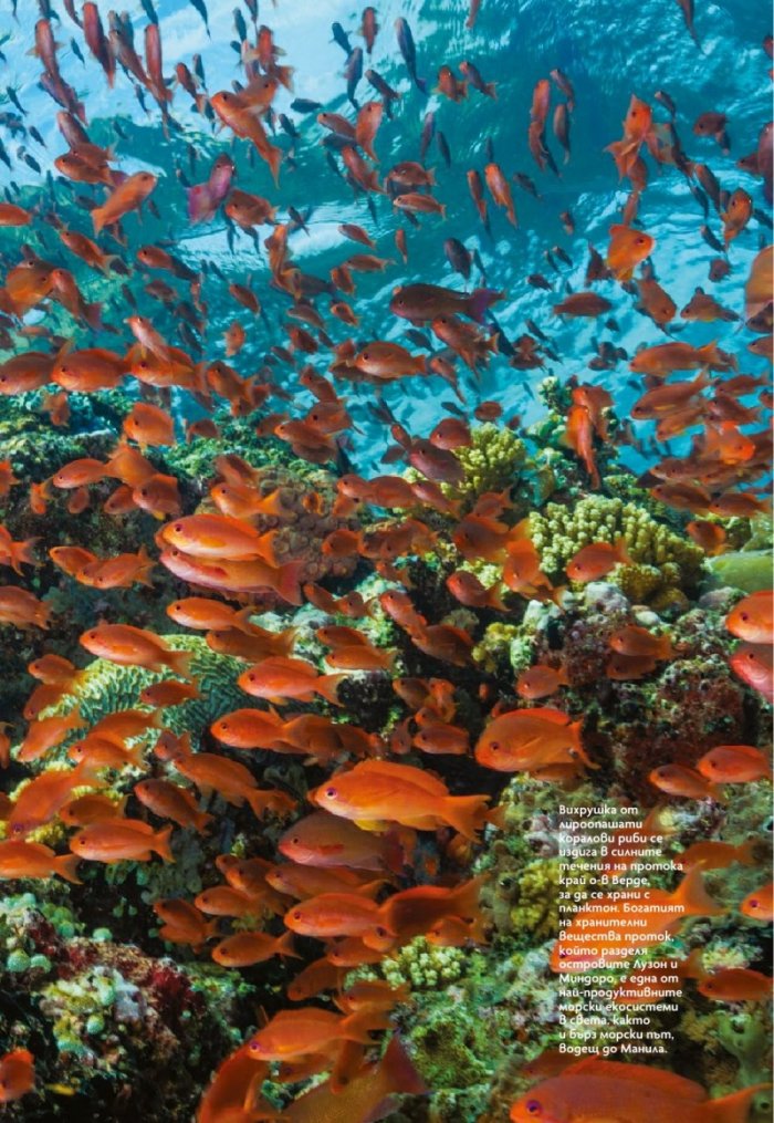 National Geographic България Юни/2022