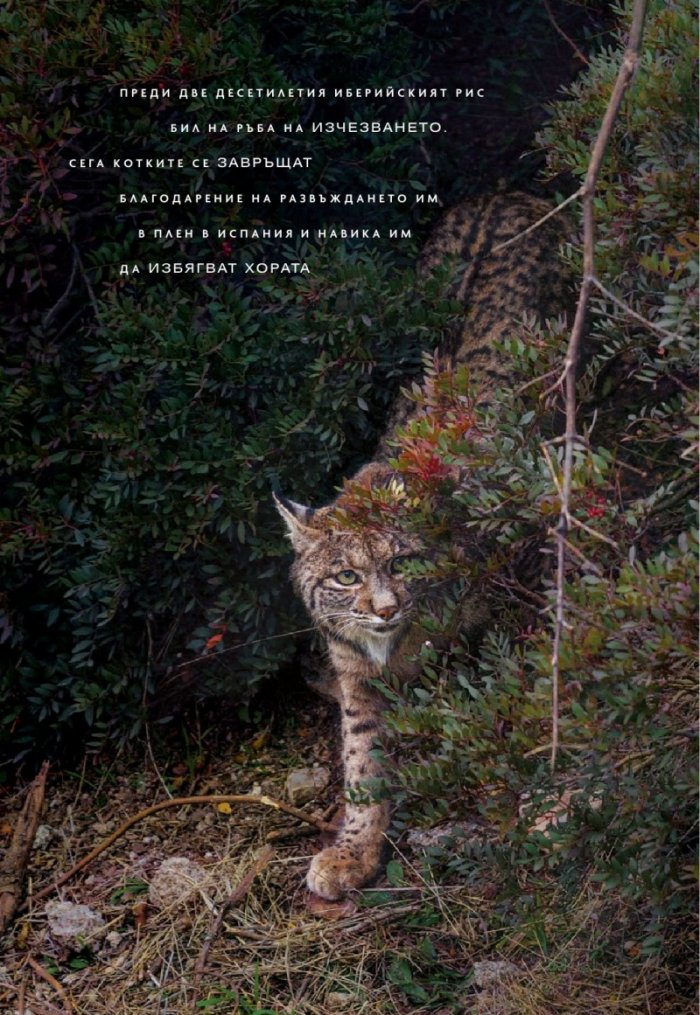 National Geographic България Юни/2022