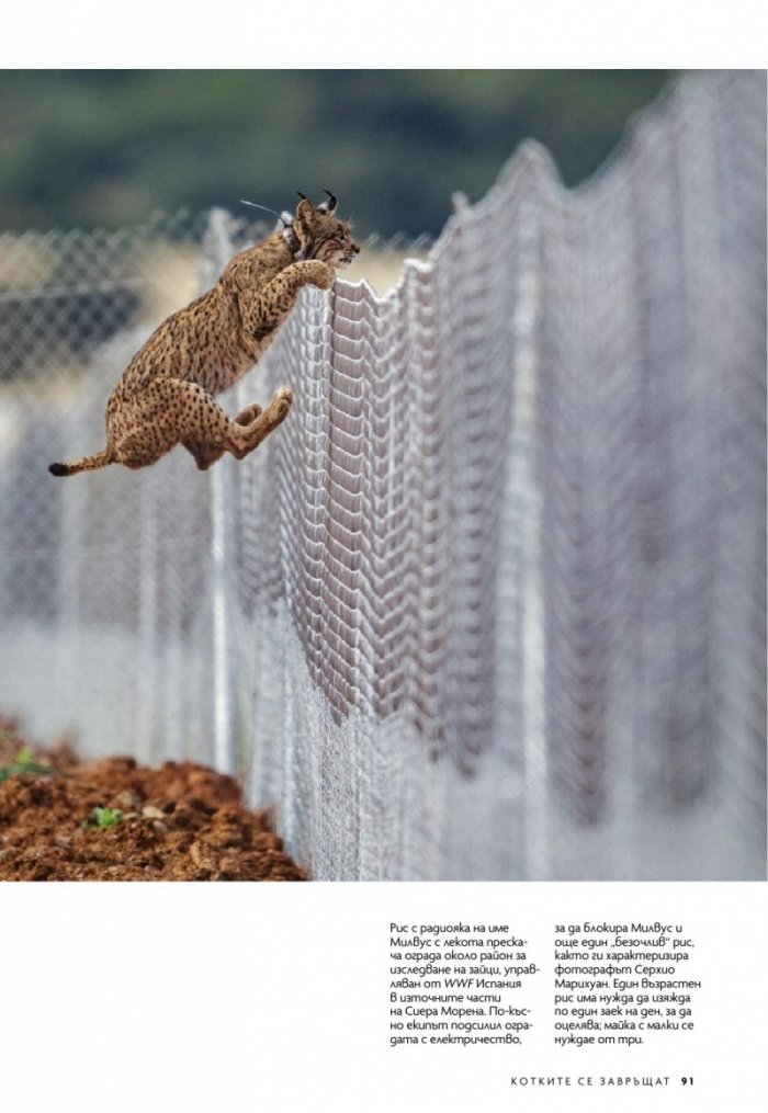 National Geographic България Юни/2022