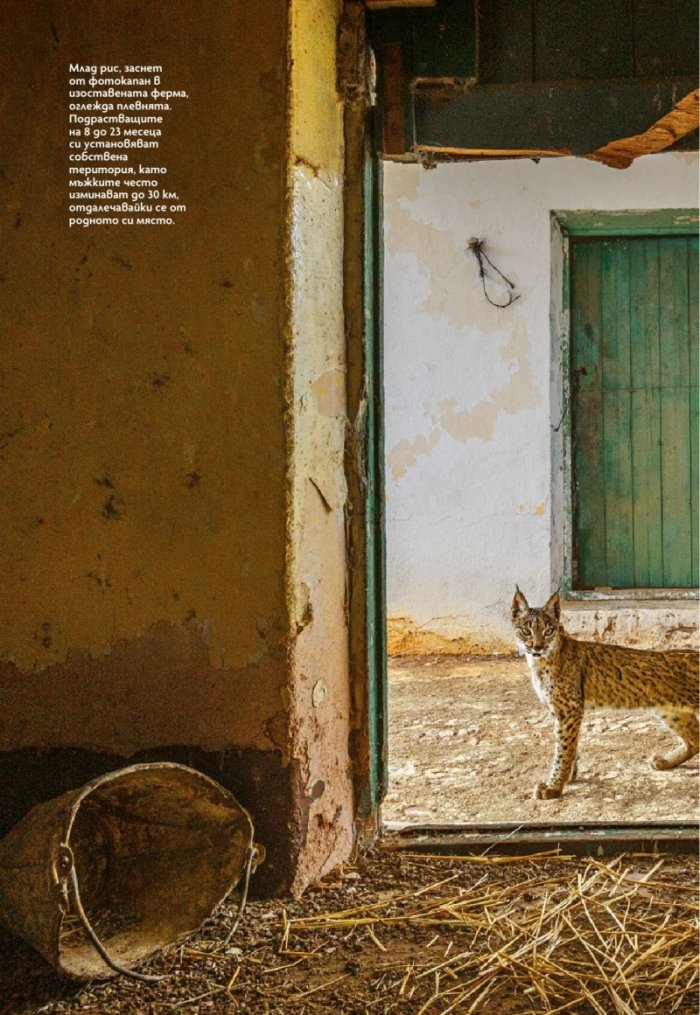 National Geographic България Юни/2022