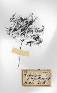 Неизвършени престъпления
