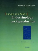 Canine and Feline Endocrinology and Reproduction