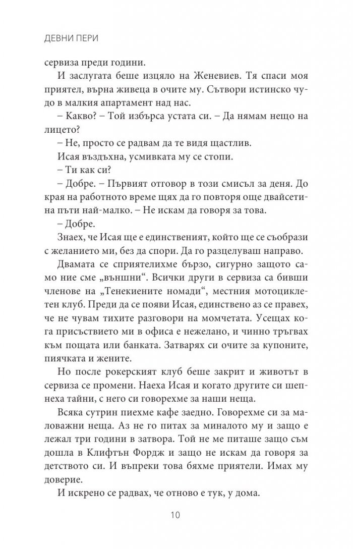 Каменна принцеса Кн.3 от поредицата Тенекиени номади