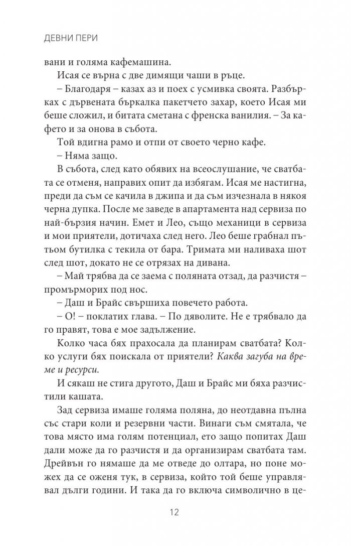 Каменна принцеса Кн.3 от поредицата Тенекиени номади