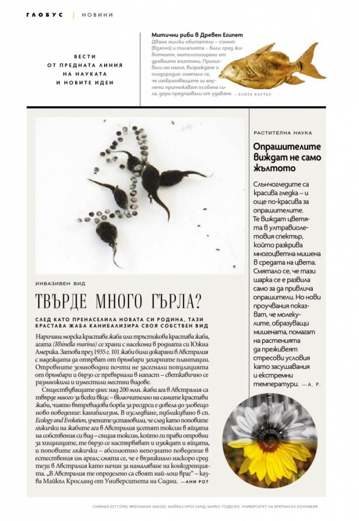 National Geographic България Юли/2022