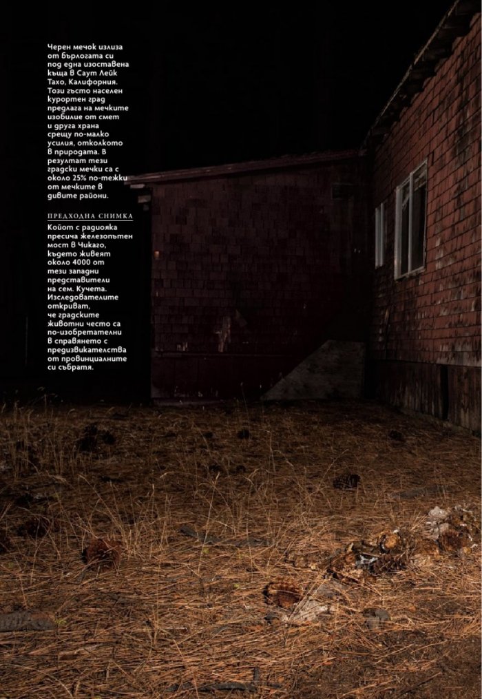 National Geographic България Юли/2022