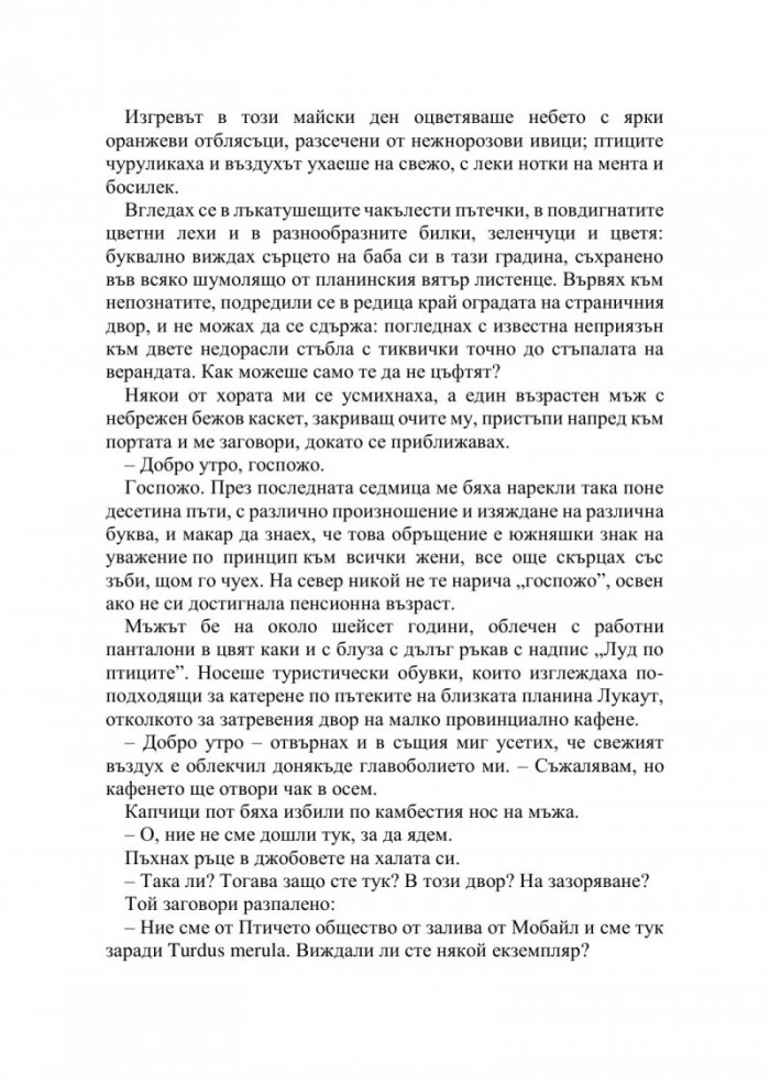 Полунощ в кафене Черният дрозд