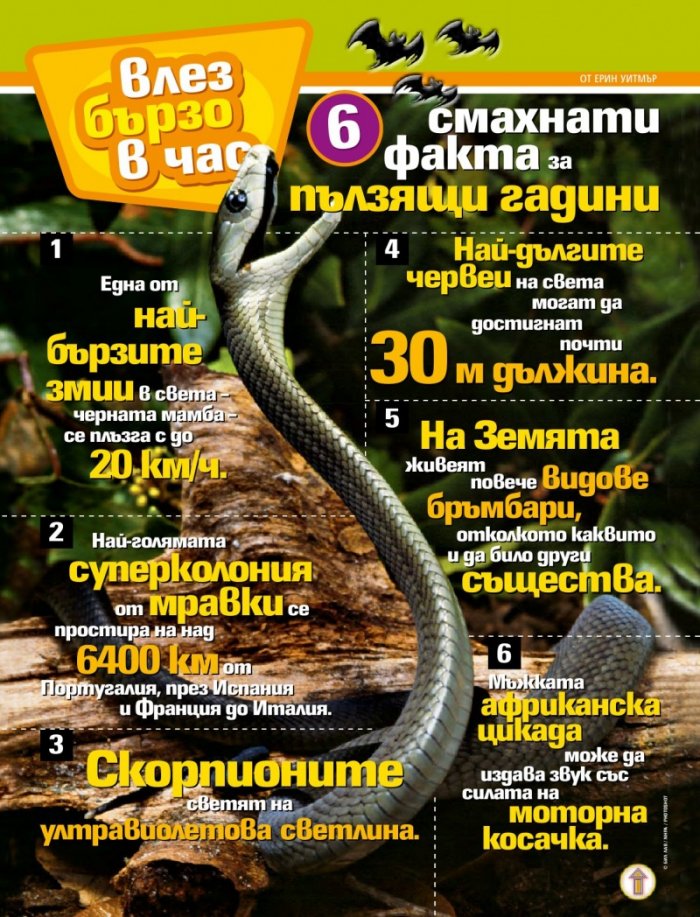 National Geographic KIDS България 9/2016