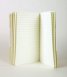 Бележник Moleskine Ruled Volant Notebook Large Golden Yellow: Set of 2 [7887]
