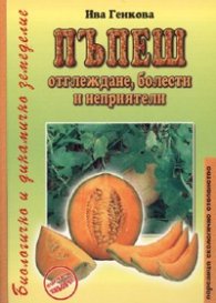 Пъпеш. Отглеждане, болести и неприятели