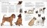 The Dog Encyclopedia : The Definitive Visual Guide