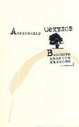 Високите каменни хълмове