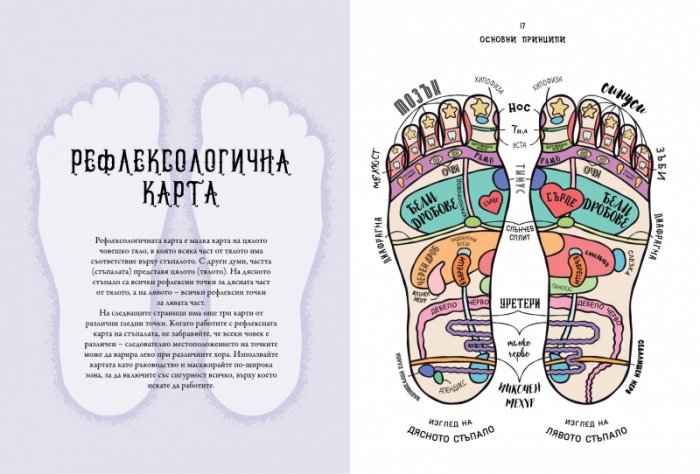 Рефлексология за начинаещи. Рефлексология на стъпалата за насърчаване на здравето