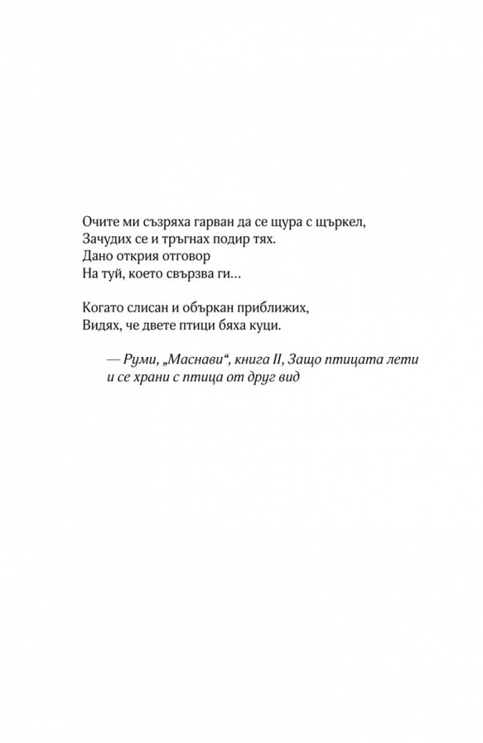 Светецът на неизбежната лудост