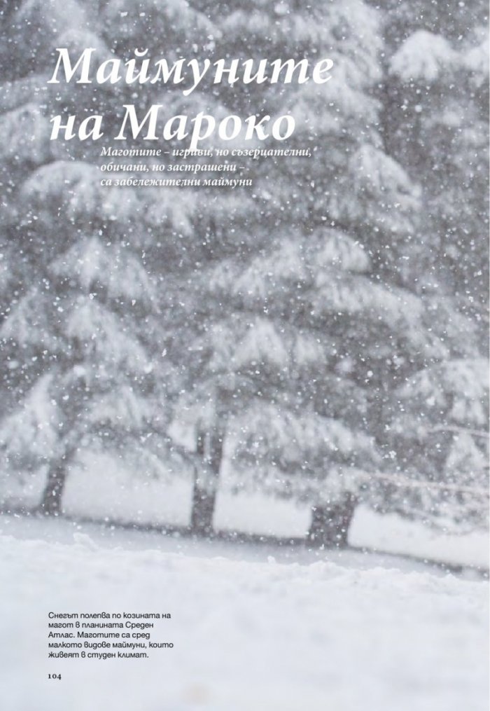 National Geographic 11/2014