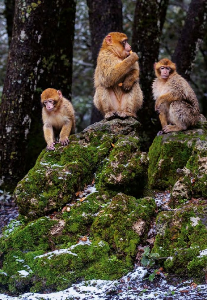 National Geographic 11/2014
