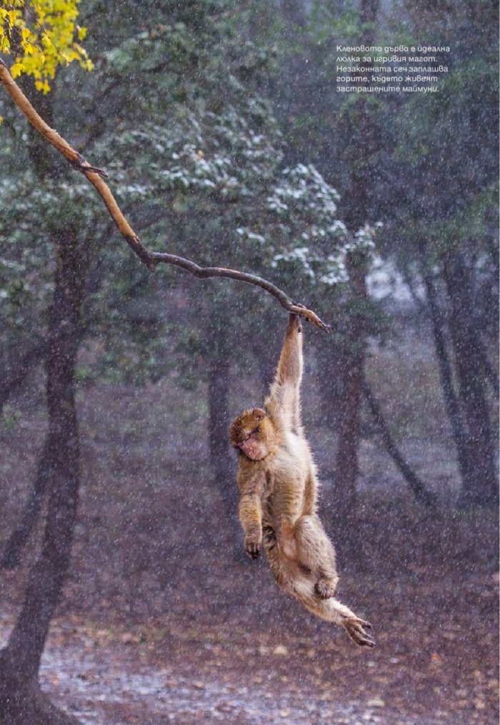 National Geographic 11/2014