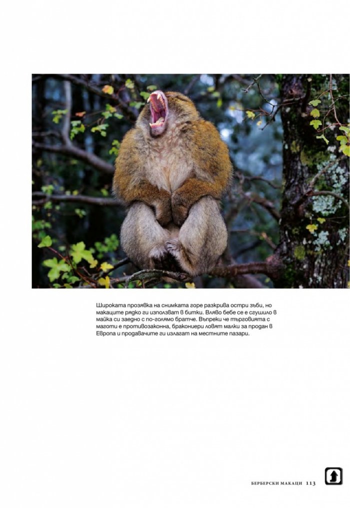 National Geographic 11/2014