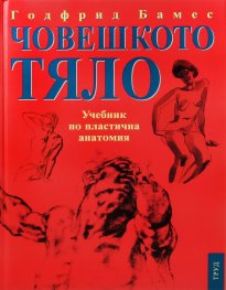 Човешкото тяло: Учебник по пластична анатомия