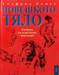 Човешкото тяло: Учебник по пластична анатомия