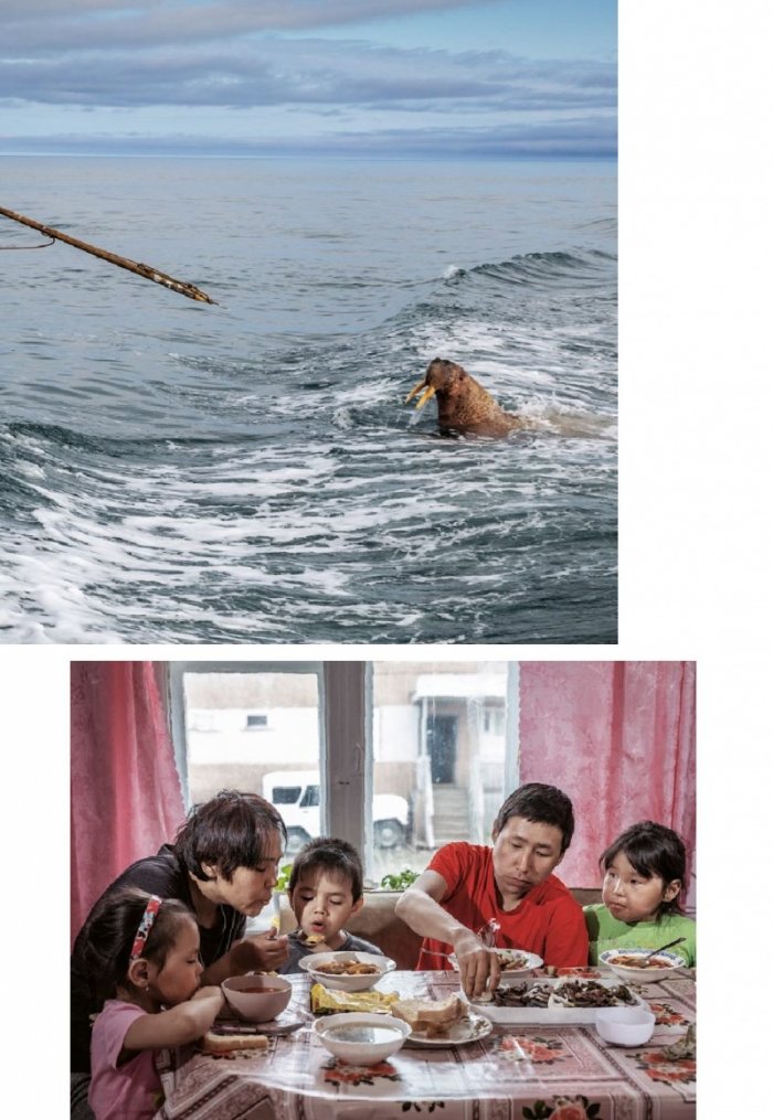 National Geographic България 4/2020