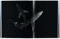 Michael Muller: Sharks, Face-to-Face with the Ocean's Endangered Predator