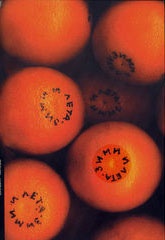 Зими и лета