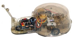 Line Tracing Snail Kit/ Хоби модел за сглобяване