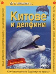 Китове и делфини/ Да се запознаем с...№11