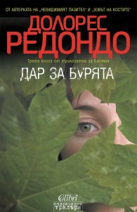 Дар за бурята