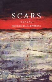 Scars/ Белези