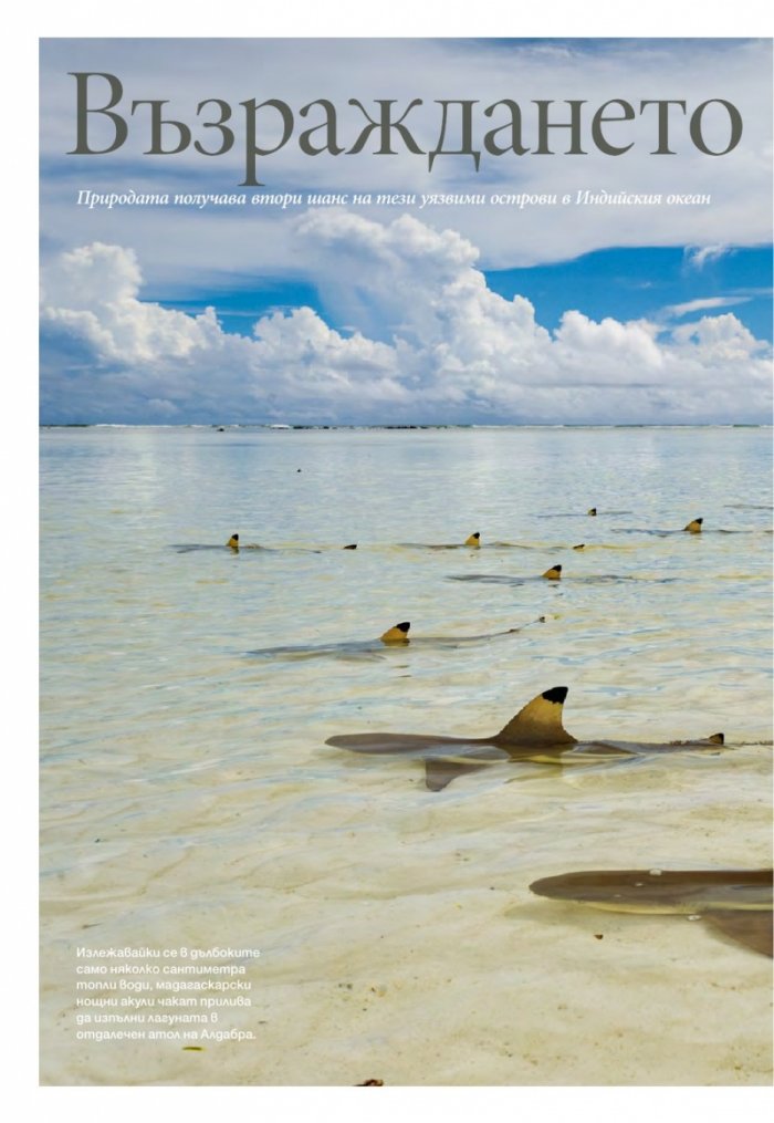 National Geographic България 11/2016